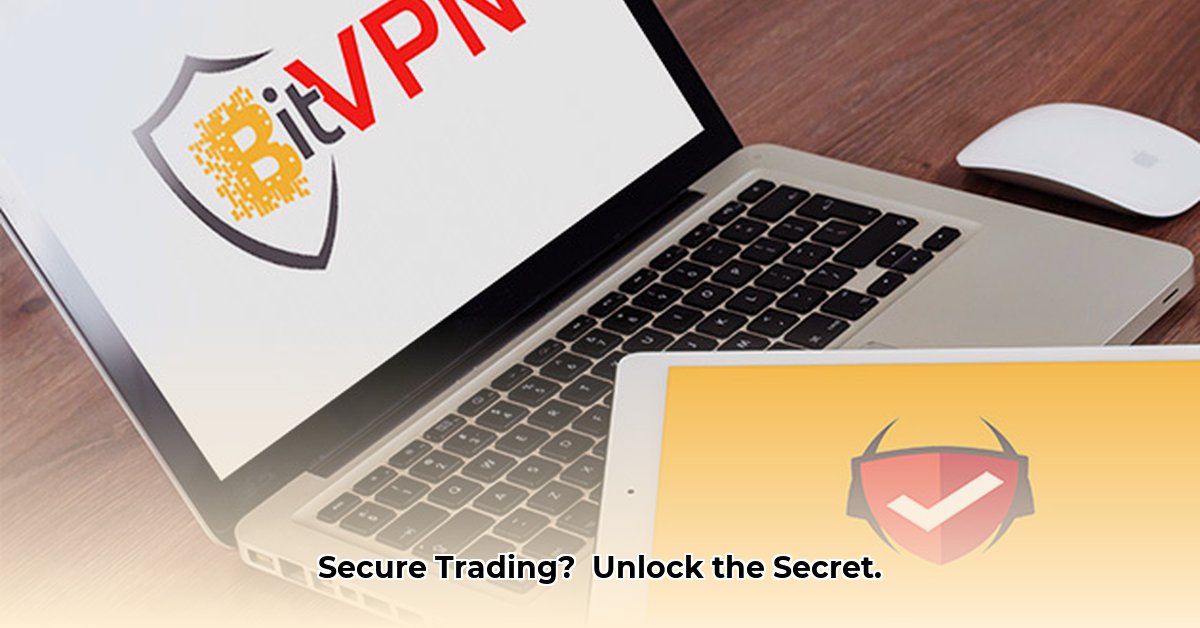 bitvpn